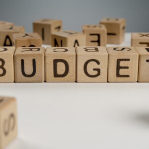 Financial Planning on an Unpredictable Income