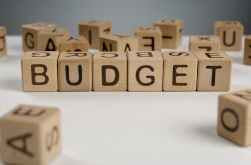 Financial Planning on an Unpredictable Income